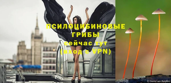 не бодяженный Карпинск