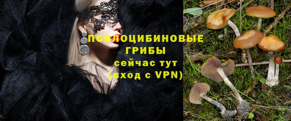 твердый Карталы