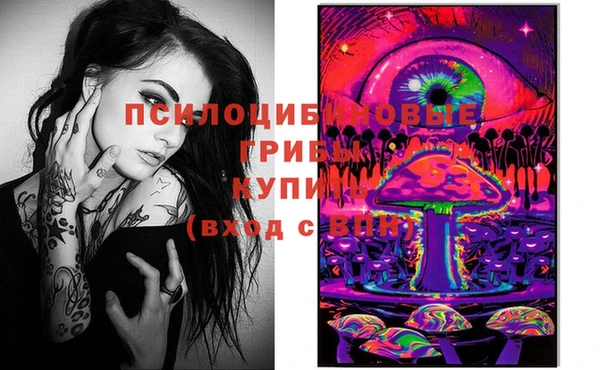 не бодяженный Карпинск
