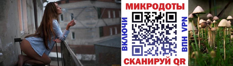 Купить  Нижний Ломов  Псилоцибиновые грибы Psilocybine cubensis 